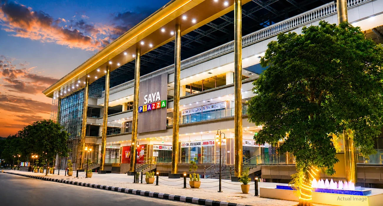 Saya Piazza — published project visual